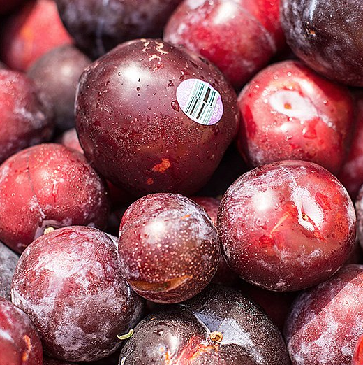 Photo 1 from GROVE CITY FOOD PANTRY-EMERGENCY SERVICE INC